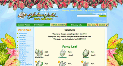Desktop Screenshot of caladiumworld.com