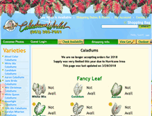 Tablet Screenshot of caladiumworld.com
